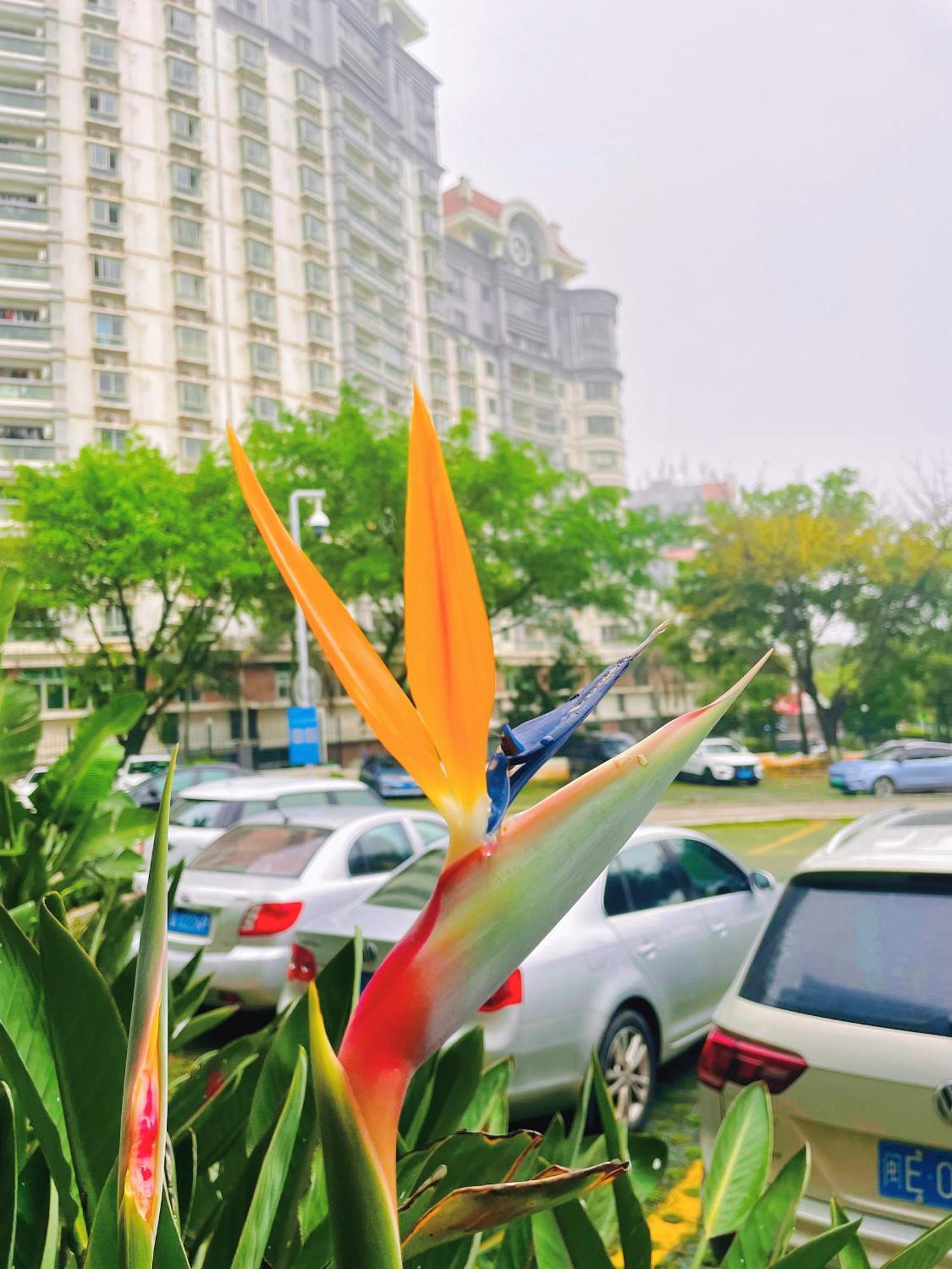 Xiamen Xiang An Yi Hao Hotel Esterno foto