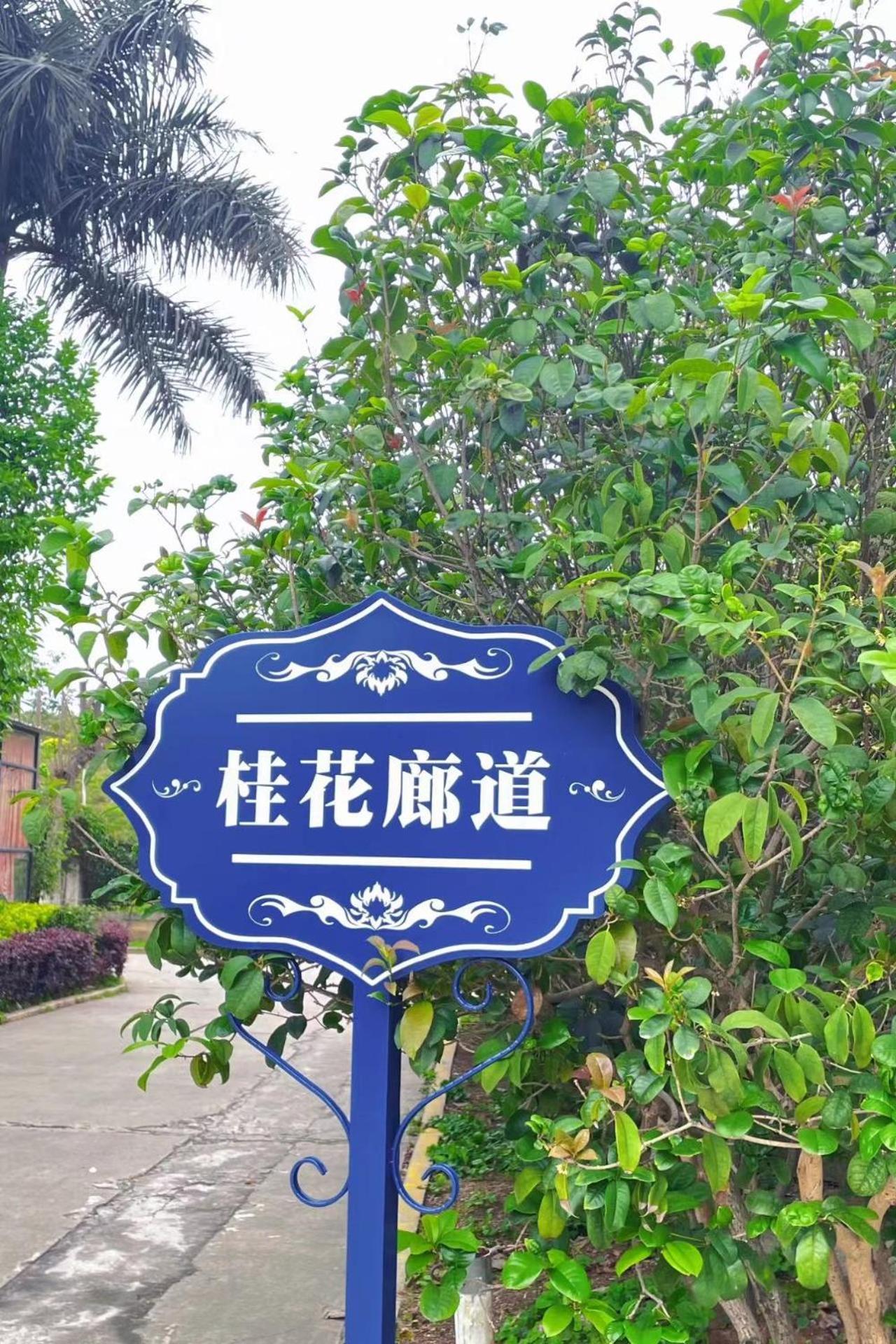 Xiamen Xiang An Yi Hao Hotel Esterno foto